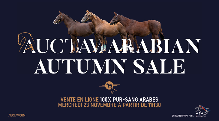 Auctav Arabian Autumn Sale