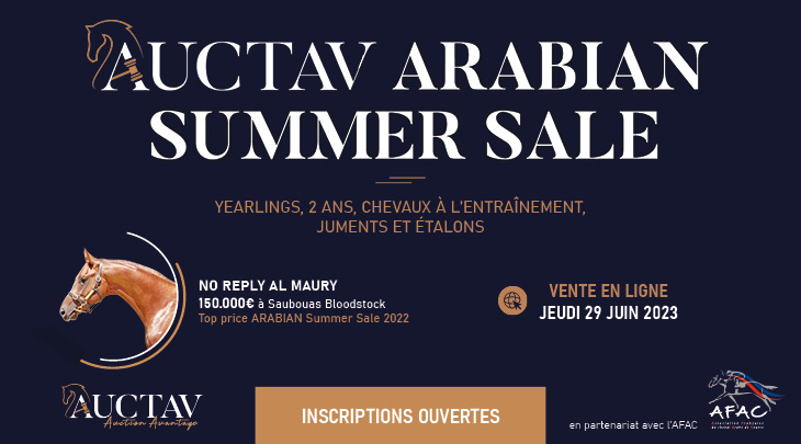 Arabian Summer Sale Inscriptions