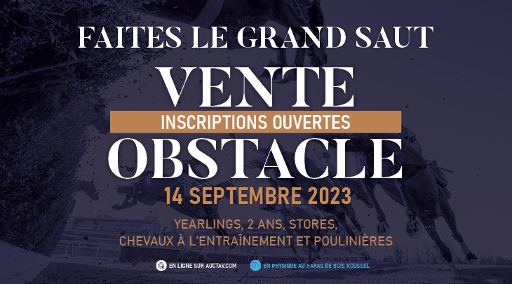 Vente Obstacle
