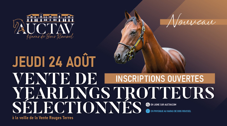 Vente Trotteurs