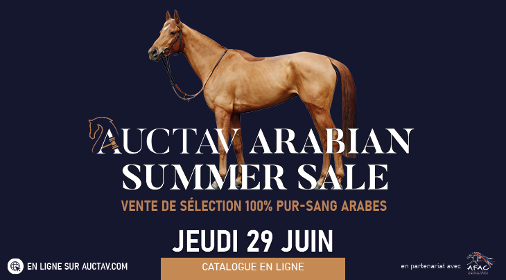 ARABIAN Summer Sale catalogue online
