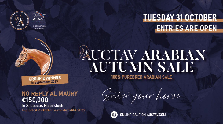 Arabians GB