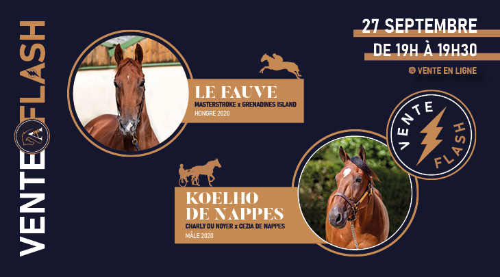 Flash Sale Koelho + Le Fauve