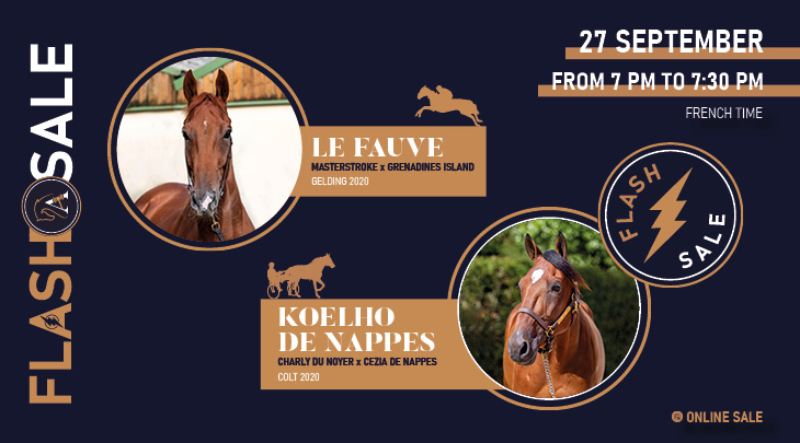 Flash Koelho + Le Fauve GB