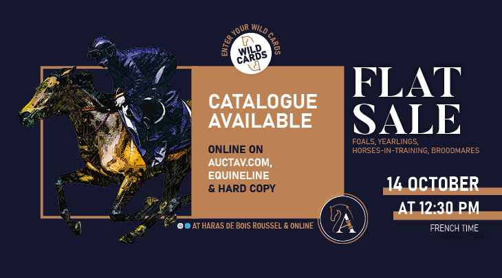Flat Sale GB