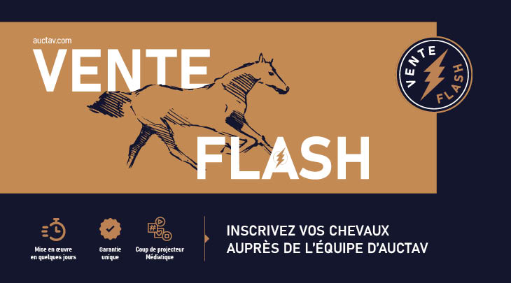 Flash Sale FR