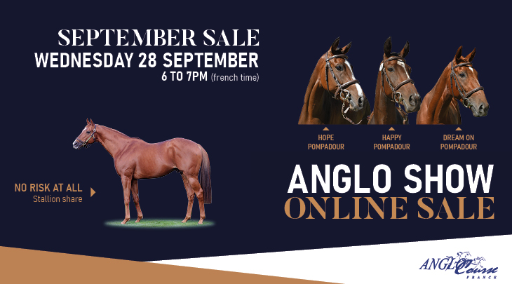 Entries Anglo Show sale
