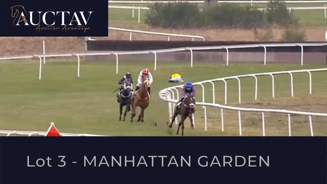 Video  de MANHATTAN GARDEN #5