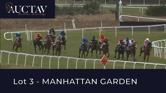 Video  de MANHATTAN GARDEN #1