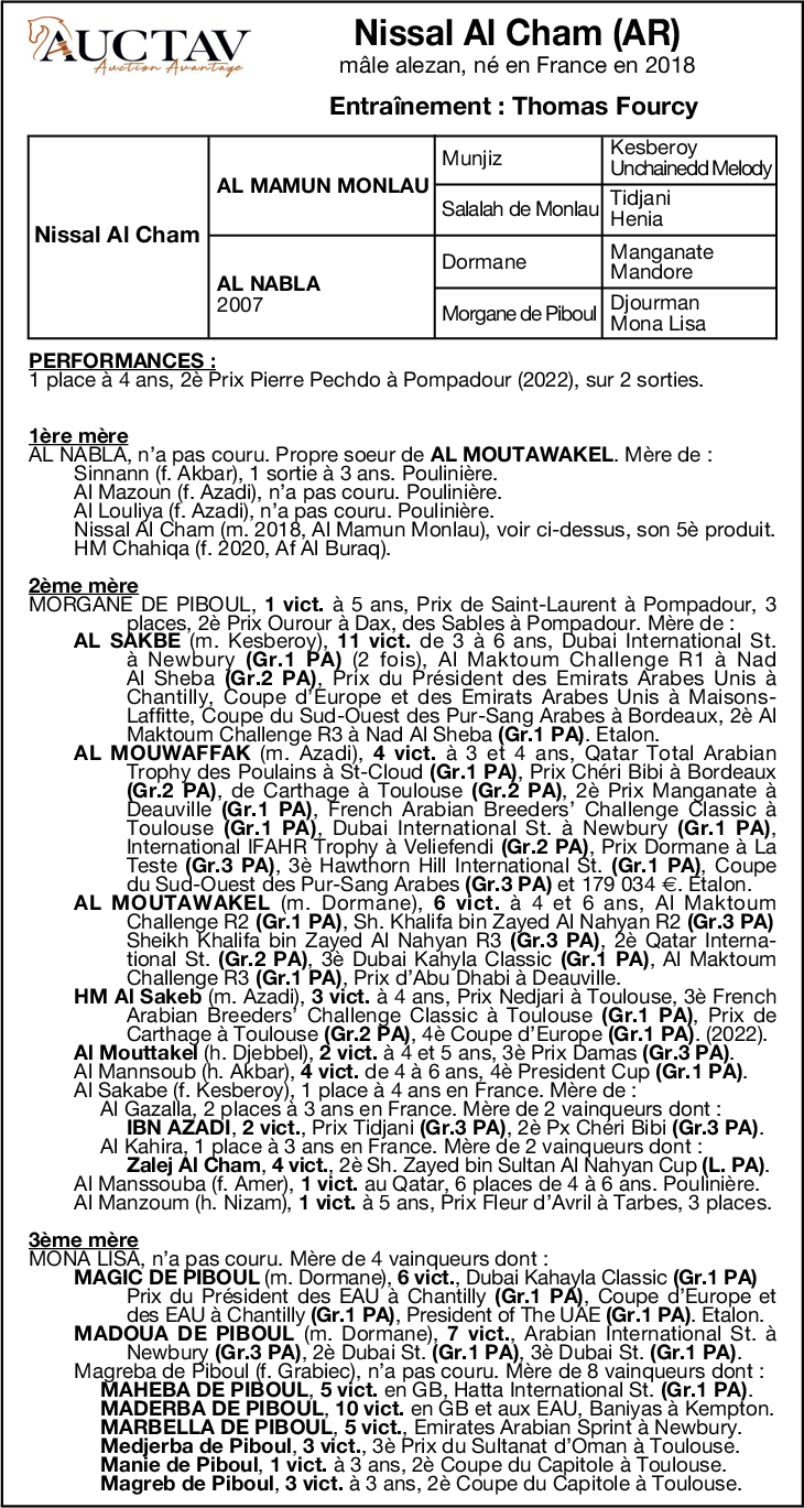 Horse NISSAL AL CHAM Sale of Wednesday 20 July 2022 Auctav