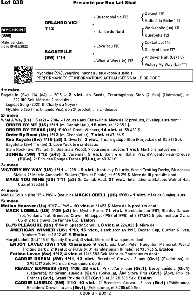 Horse MYCHKINE Sale of Thursday 24 August 2023 Auctav